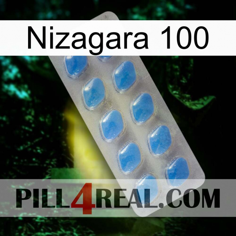 Nizagara 100 22